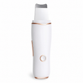 PureWave Ultrasonic Skin Scrubber